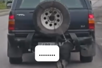 Алтайда ер адам итті көлікке байлап сүйреді