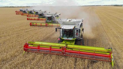 Егіннен экспортқа дейін: Биыл елімізде қанша көлемде астық бастырылуы мүмкін