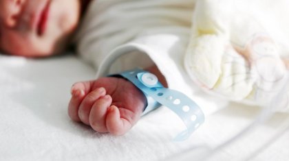 Құны – 500 мың теңге: сәбилер онлайн сайттарда саудаға шығарылған