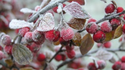 «Үсік жүріп, тұман түседі»: Еліміздің 11 өңірінде дауылды ескерту жарияланды