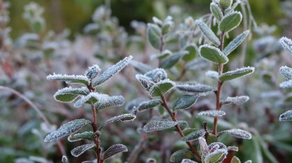 Бүгін еліміздің бірқатар өңірінде дауылды ескерту жарияланды