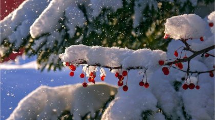 Бүгін еліміздің бірқатар өңірінде қар жауады