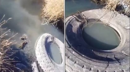 Қарағандыда кәріз суы өзенге құйылып жатыр: тұрғындар бірнеше жыл бойы иіске тұншығып отыр (ВИДЕО)