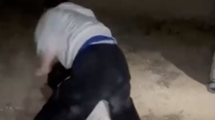 «Жүйе жасырып отыр ма?» Қазақстанда балалар арасындағы зорлық-зомбылық неге көбейіп кетті?