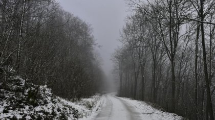 «Көктайғақ, тұман, жел»: Еліміздің басым бөлігінде дауылды ескерту жарияланды