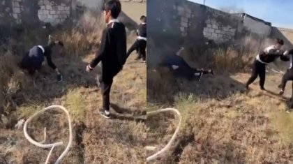 Атыраудағы агроколледжде жаппай төбелес: студенттер бірін-бірі аямады