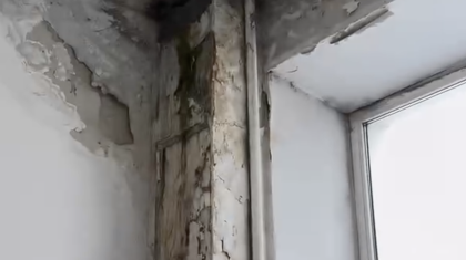 «Әкімдік неге көз жұмып отыр?»: Семейдегі мәдениет үйі қоқыс қоймасын еске салады