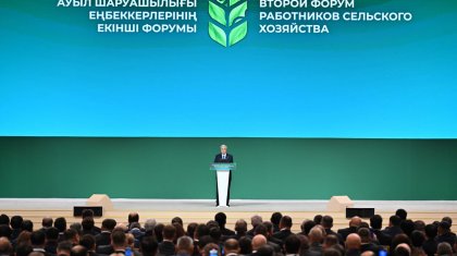 Президент жайылымдық жерлердің нақты кімдерге берілуі тиіс екенін айтты