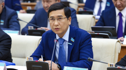 Жедел жәрдемге шабуыл жасау деген жай ғана төбелес емес – депутат