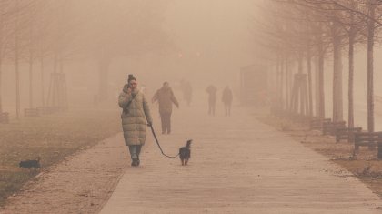 Әкімдіктер жол, аула және балалар алаңы сияқты жергілікті мәселеге атүсті қарайды