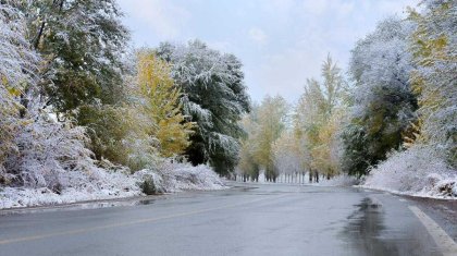 Қар және көктайғақ: 17 желтоқсанда ауа райы қандай болады