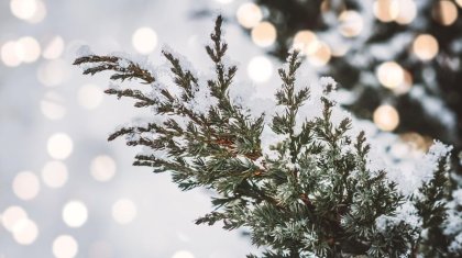 Алдағы күндері –35 градус аяз болады