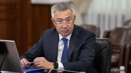 Ұлттық экономика министрінің әйелі бір жылда 88 млн теңге табыс тапқан