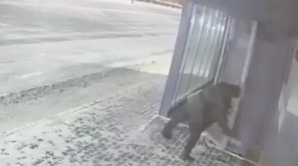 Астанада ер адам жылы аялдаманың әйнегін сындырып, қашып кеткен (ВИДЕО)