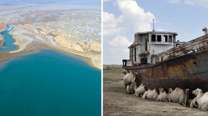 Ұлттық құрылтай: Қасым-Жомарт Тоқаев Арал мәселесін қозғады