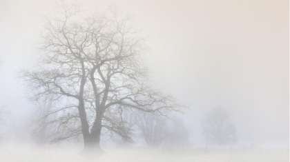 Тұман, көктайғақ: Бірнеше өңірде ескерту жарияланды