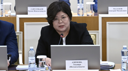 Жаңа Конституция жобасының мәтіні қайда жарияланатыны белгілі болды