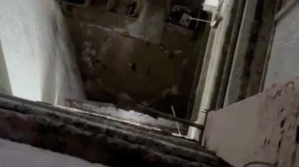 Ақтаудағы көпқабатты үйді тышқандар басып алды