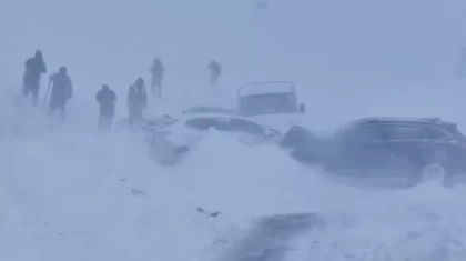 Ірі жол апаты: «Үшарал – Достық»: автожолында 5 көлік соқтығысты