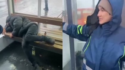 Павлодарда вокзал маңындағы жылы аялдамаларды қаңғыбастар басып алған