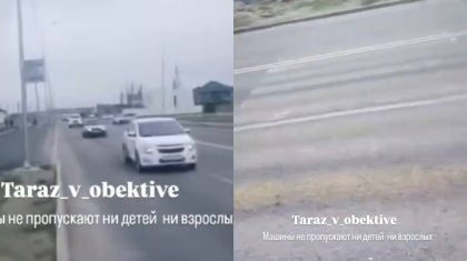 Таразда жаяу жүргіншілерге жол жоқ: Әкімдік бір бағдаршамды қимай отыр ма? (ВИДЕО)