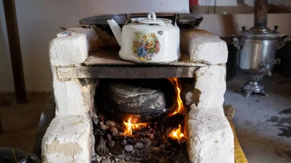 Көкшетауда бүтін бір отбасы иіс тиіп, уланып қалды