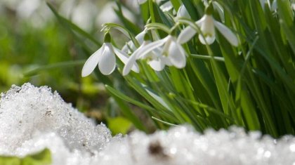 Нөсер жауын, аяз, жел: Ел аумағында күн әлі жылына қоймайды