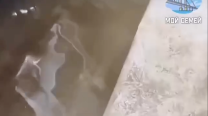 Семейде әкімдіктің әрекетсіздігінен үйлерді су басты