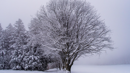 15 наурызда Қазақстанның екі өңірінде қар жауады