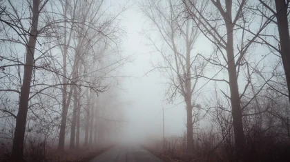 20 наурызда елдің бірнеше өңірінде ауа райына байланысты ескерту жасалды