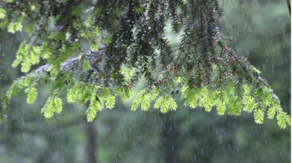 Жауын-шашын, жел: Қазақстанның басым бөлігінде дауылды ескерту жарияланды