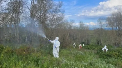 СҚО-дағы егіс алқабында адам өлімі тіркелді