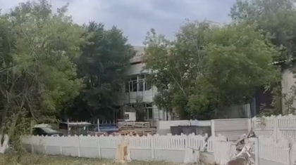 Қарағандыдағы мектепте ағаштарды түгел отап тастаған: Әкімдік пен білім бөлімі заңсыздыққа көз жұма қараған ба?