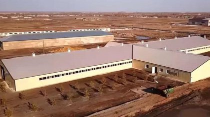 Сүт фермасындағы қайғылы оқиға: алты жұмысшының қазасына комиссия құрылды