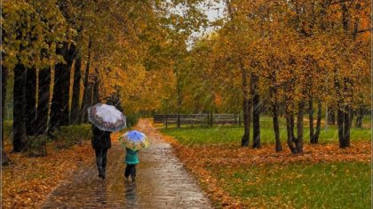Жаңбыр, найзағай, жел: Қазақстанның бірнеше өңірінде ауа райына байланысты ескерту жасалды