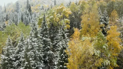 Еліміздің бірнеше өңірінде қар жауып, боран соғады