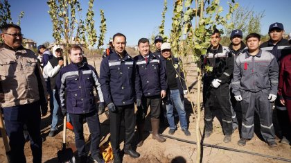 2 500 ағаш отырғызылады: Қазақмыс Балқаштың орталық саябағын көгалдандыруға атсалысты