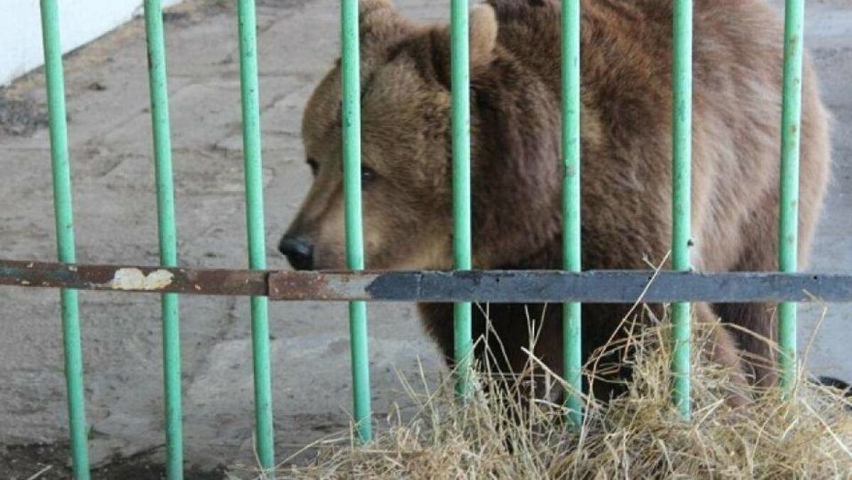 Фото: informburo.kz
