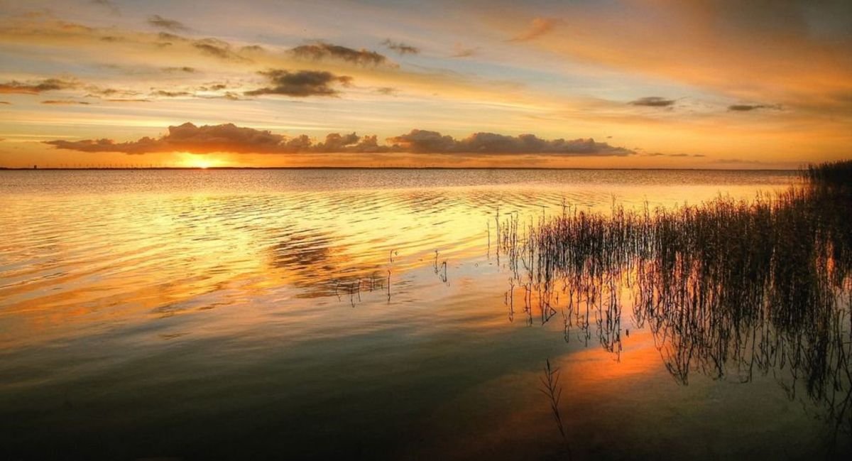 Фото: pixabay.com