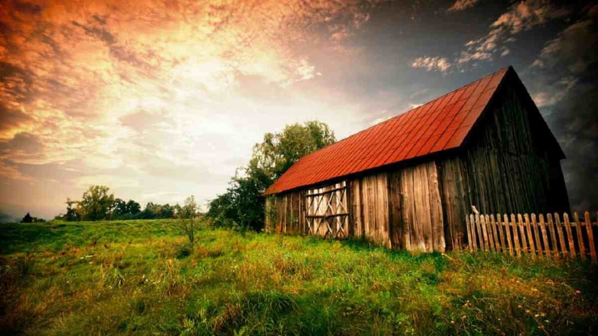 Фото: Stan.kz
