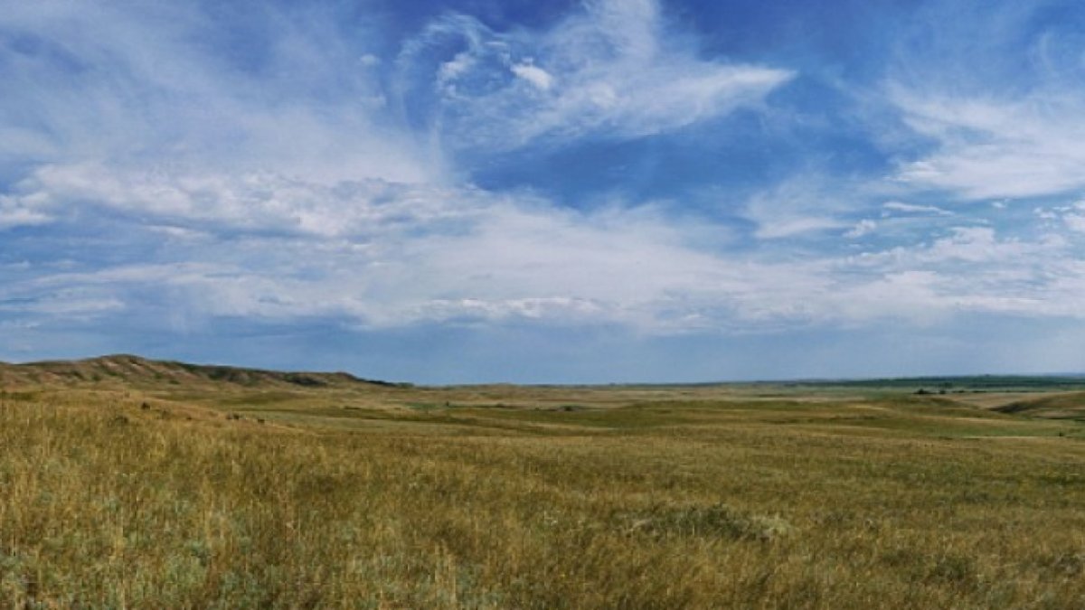 Фото: arnapress.kz