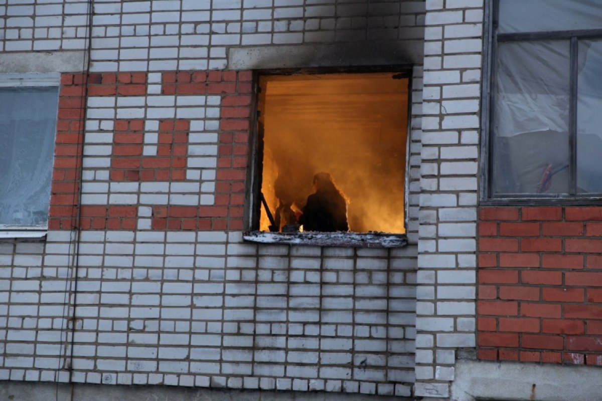 Фото: 76.ru
