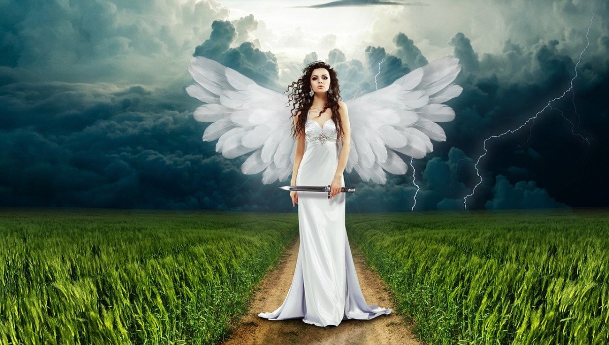 Фото: pixabay.com