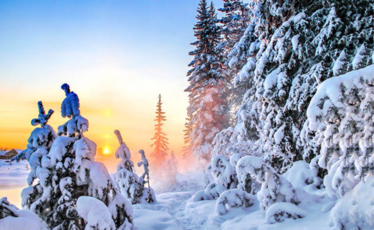Фото: Ortcom.kz