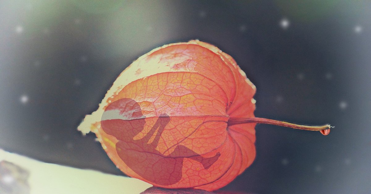 Фото: pixabay.com