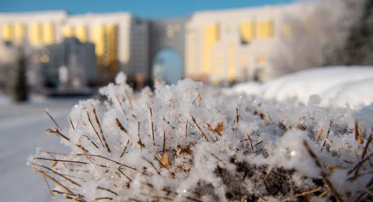 Фото: Sputniknews.kz
