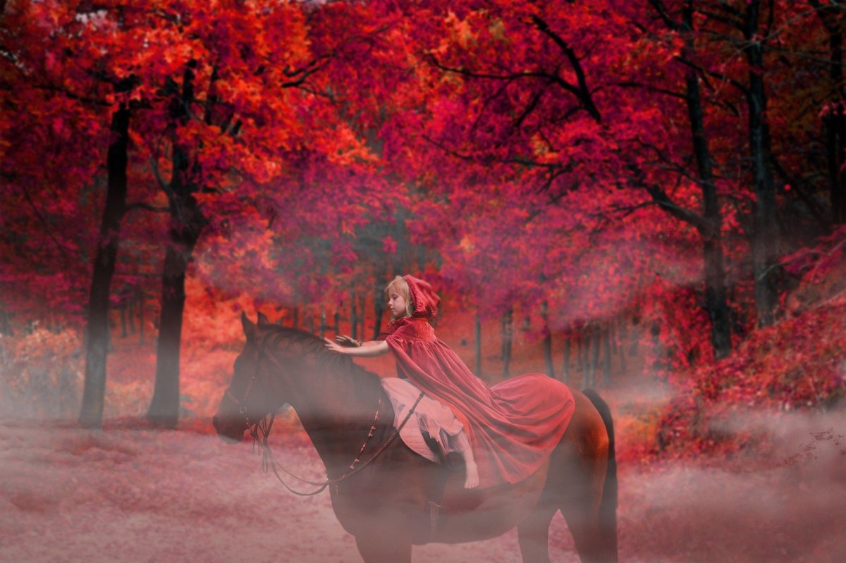 фото: pixabay.com