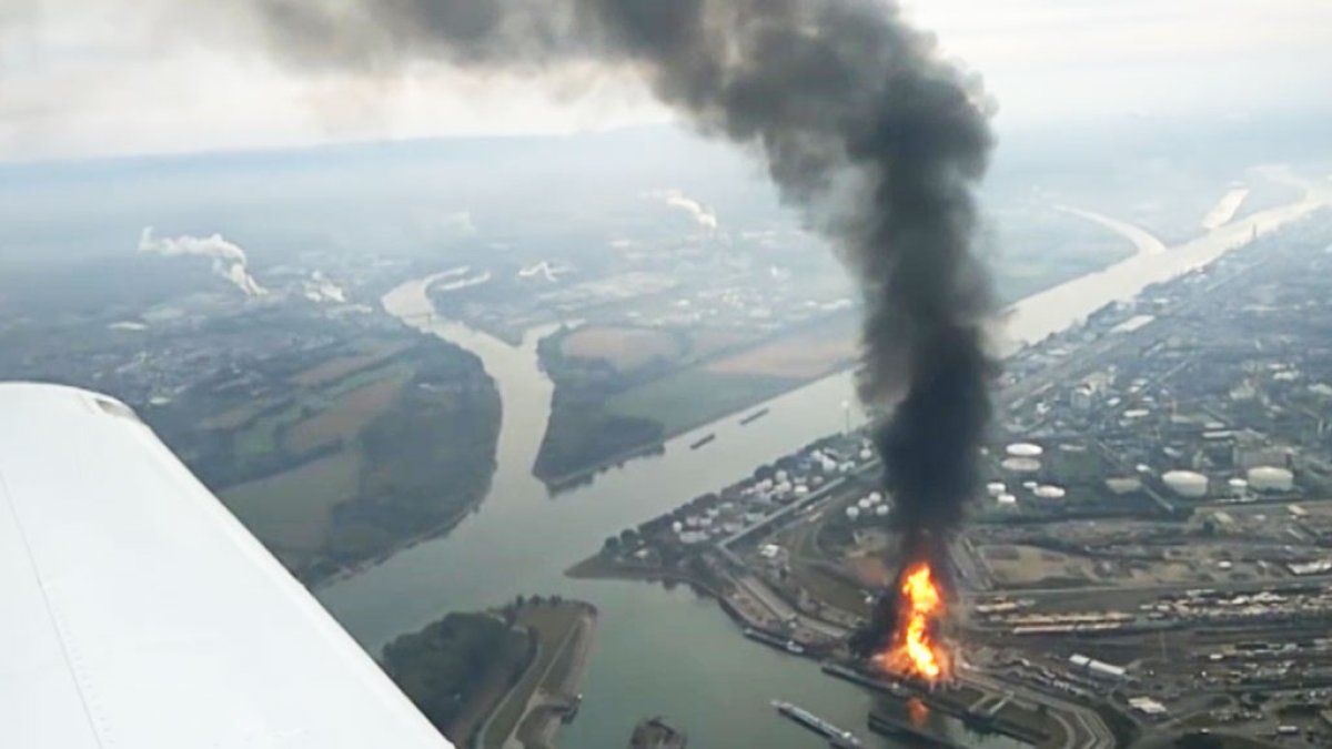 Фото: ntv.ru
