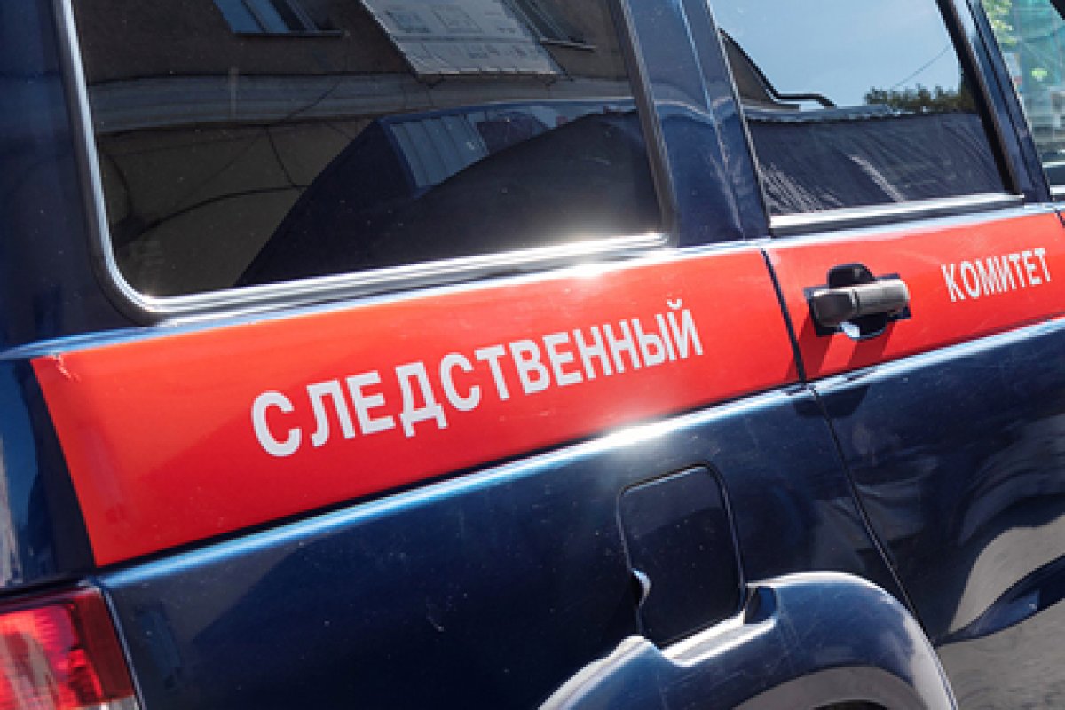 Фото: Олег Харсеев / «Коммерсантъ»