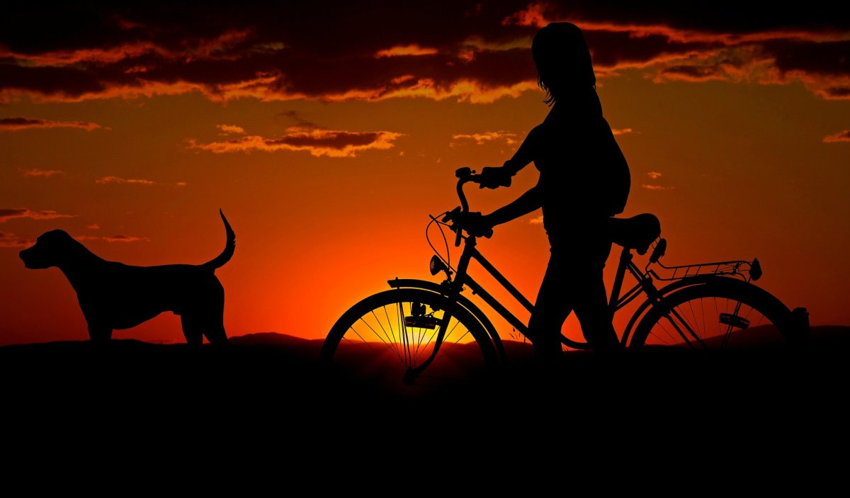 Фото: pixabay.com